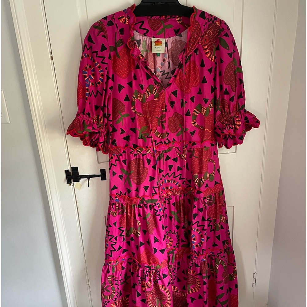 Farm Rio dress!  Amazing condition worn once
